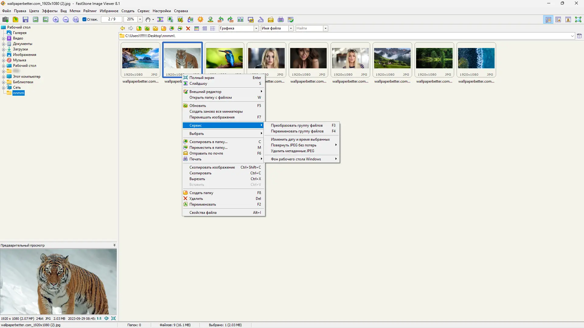 Программный интерфейс FastStone Image Viewer 8.1 RePack (& Portable) by KpoJIuK [Multi Ru]