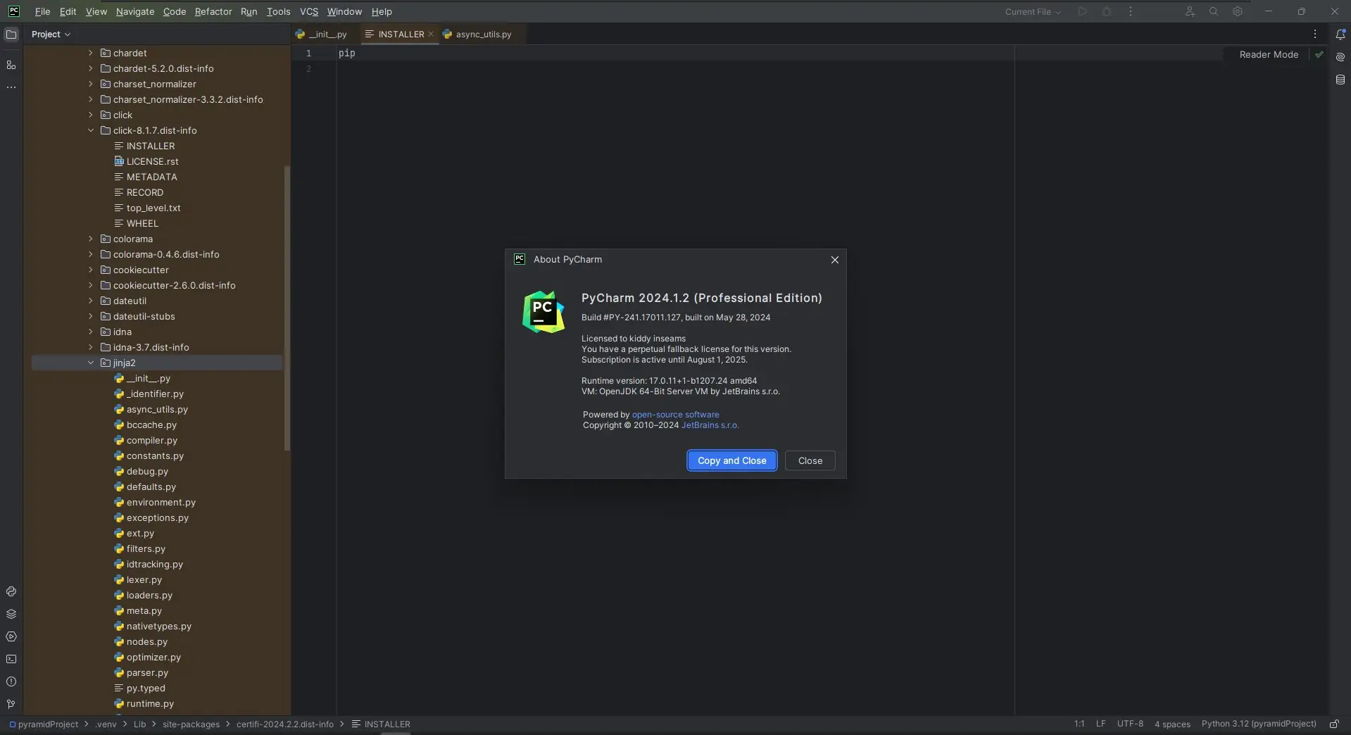 Программный интерфейс JetBrains PyCharm Professional 2024.1.2 Repack by Sitego [En]