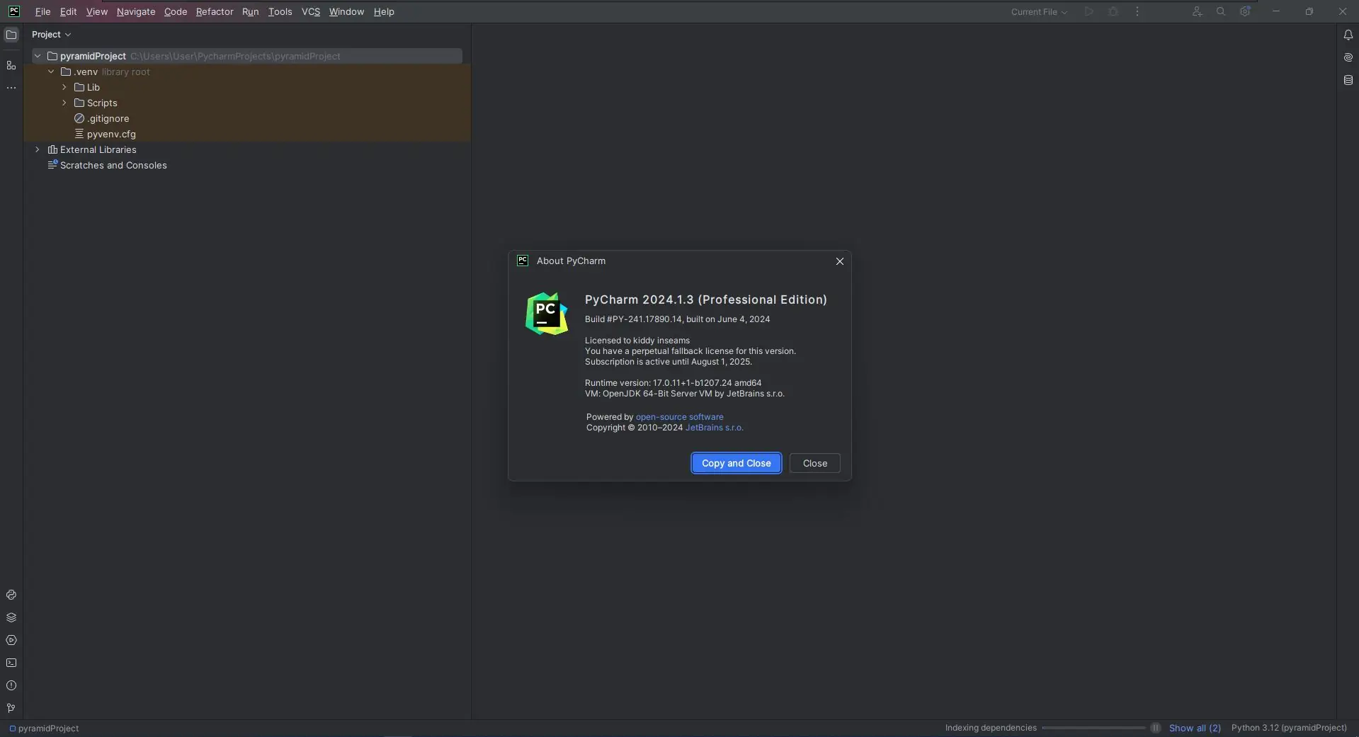 Программный интерфейс JetBrains PyCharm Professional 2024.1.3 Repack by Sitego [En]