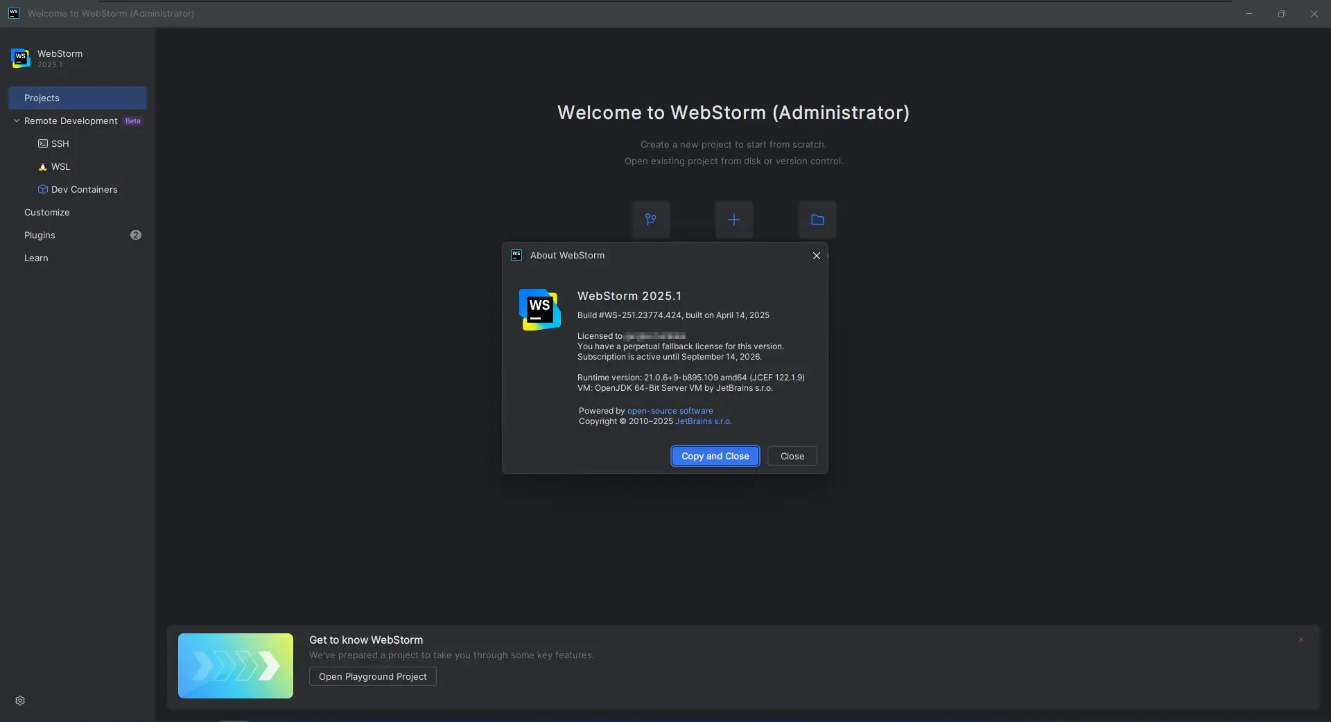 Программный интерфейс Jetbrains WebStorm 2025.1 (x64-arm64) Repack by Sitego [En]