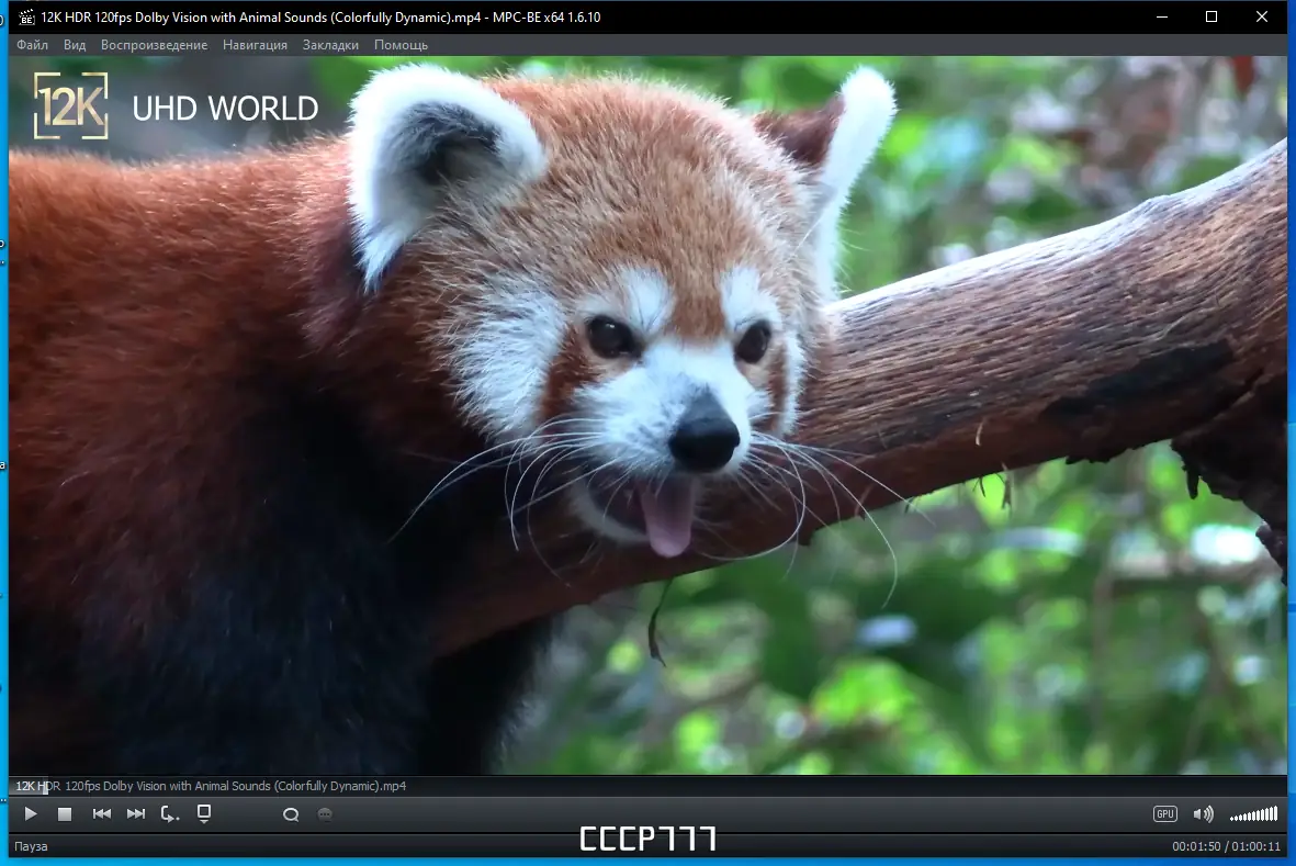 Программный интерфейс Media Player Classic - Black Edition 1.6.10 Stable RePack (& Portable) by elchupacabra [Multi Ru]