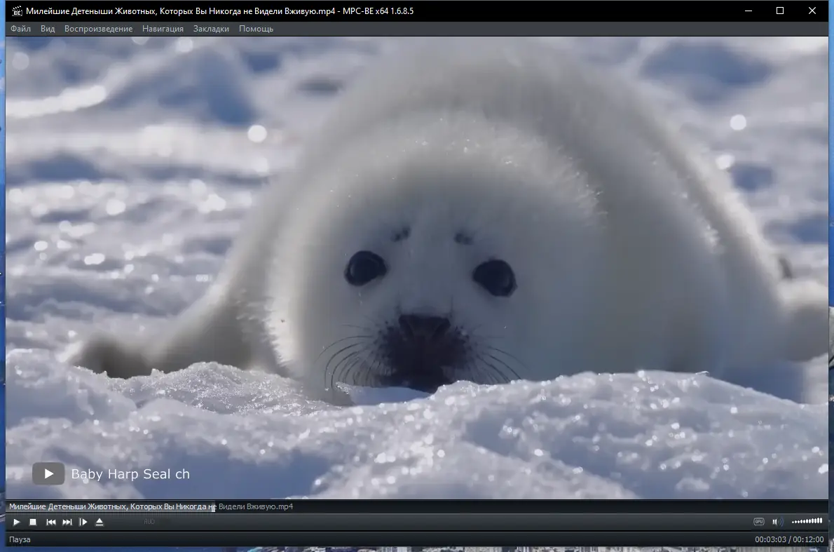 Программный интерфейс Media Player Classic - Black Edition 1.6.8.5 Stable RePack (& Portable) by elchupacabra [Multi Ru]