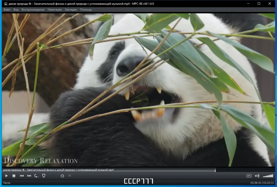 Программный интерфейс Media Player Classic - Black Edition 1.6.9 Stable RePack (& Portable) by elchupacabra [Multi Ru]