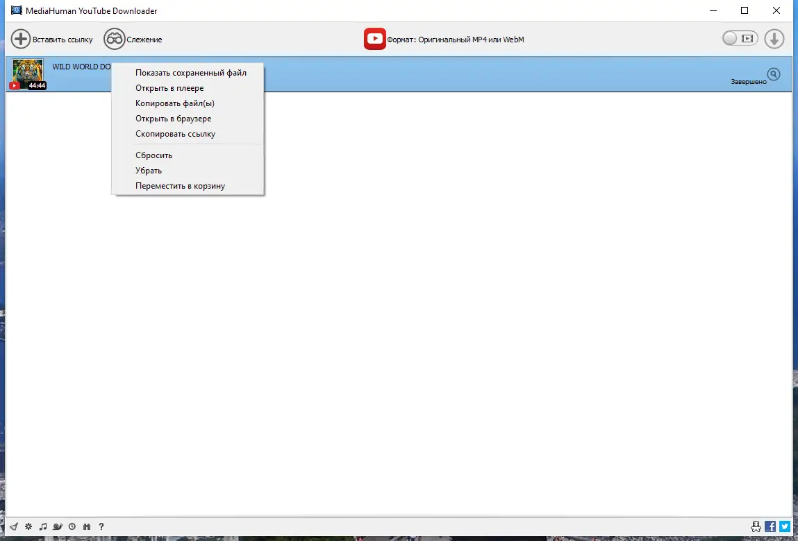 Программный интерфейс MediaHuman YouTube Downloader 3.9.9.92 (0629) RePack (& Portable) by Dodakaedr [Ru En]