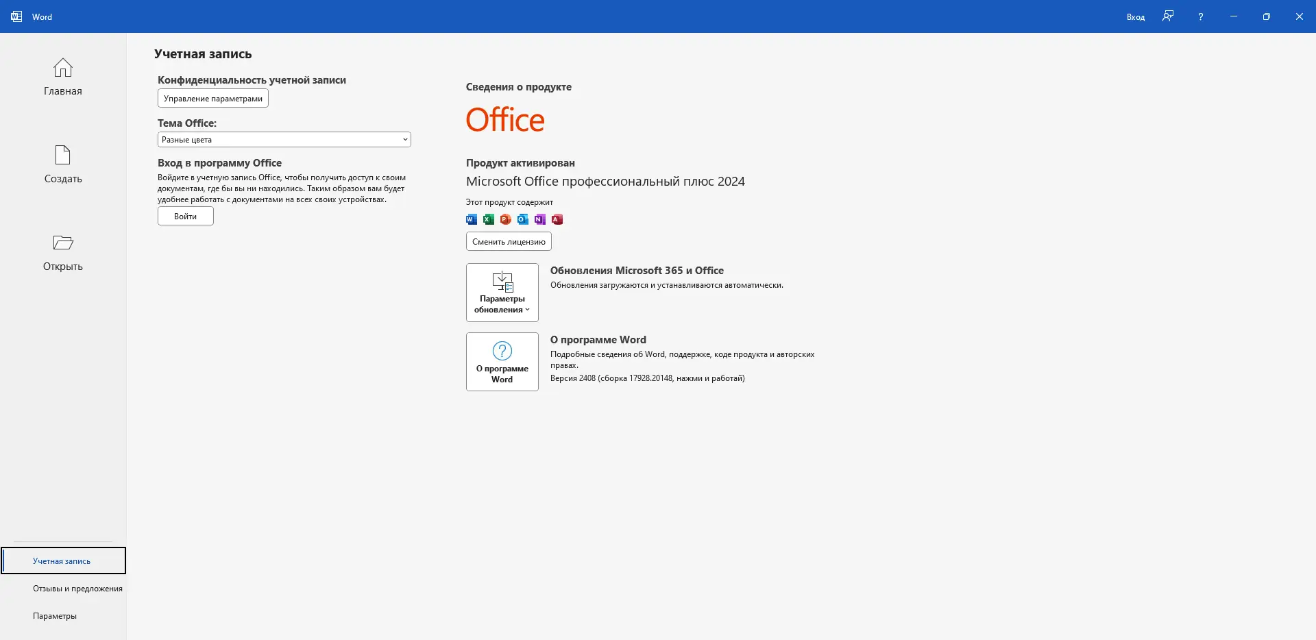 Программный интерфейс Microsoft Office 2024 Professional Plus 16.0.17928.20148 [Ru]
