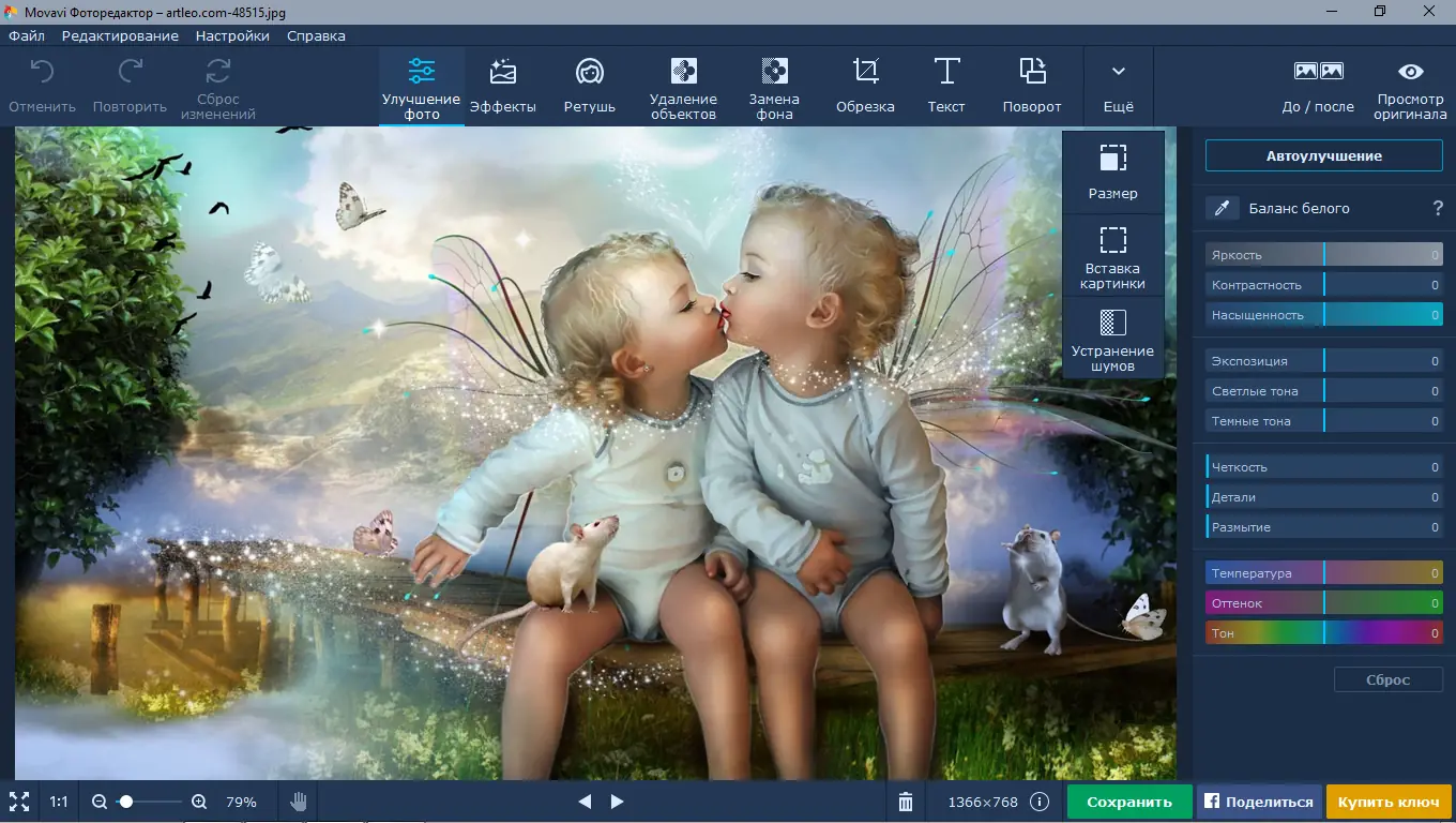 Программный интерфейс Movavi Photo Editor 6.7.0 (2020) PC RePack & Portable by TryRooM