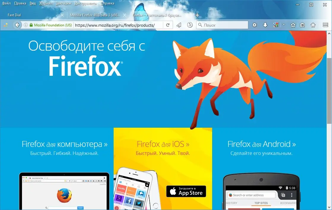 Программный интерфейс Mozilla Firefox 49.0 beta 8 x86 x64 (2016) Русский