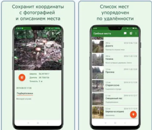 Программный интерфейс Навигатор Грибника v3.12.2 (2022) Android