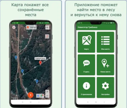 Программный интерфейс Навигатор Грибника v3.15.3 (2022) Android
