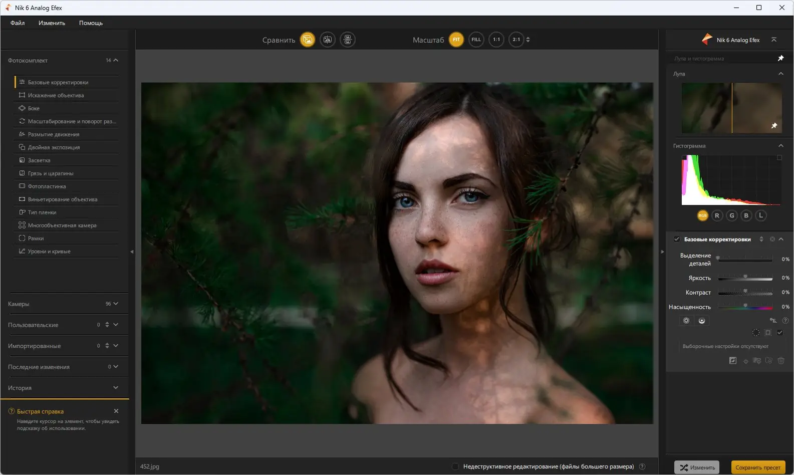 Программный интерфейс Nik Collection by DxO 6.12.0 RePack by 7997 [Multi Ru]