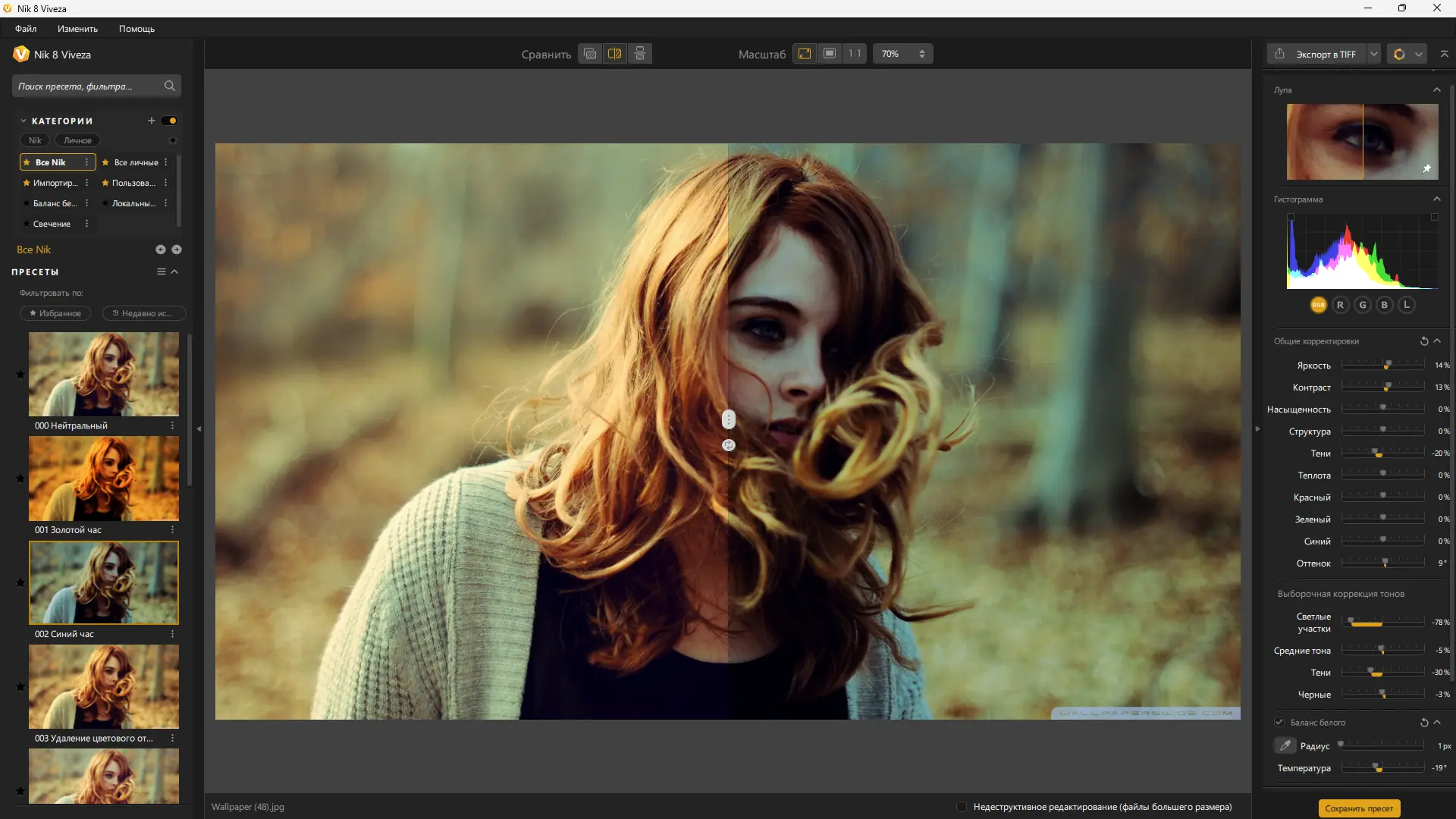 Программный интерфейс Nik Collection by DxO 8.1.2 Portable by 7997 [Multi Ru]