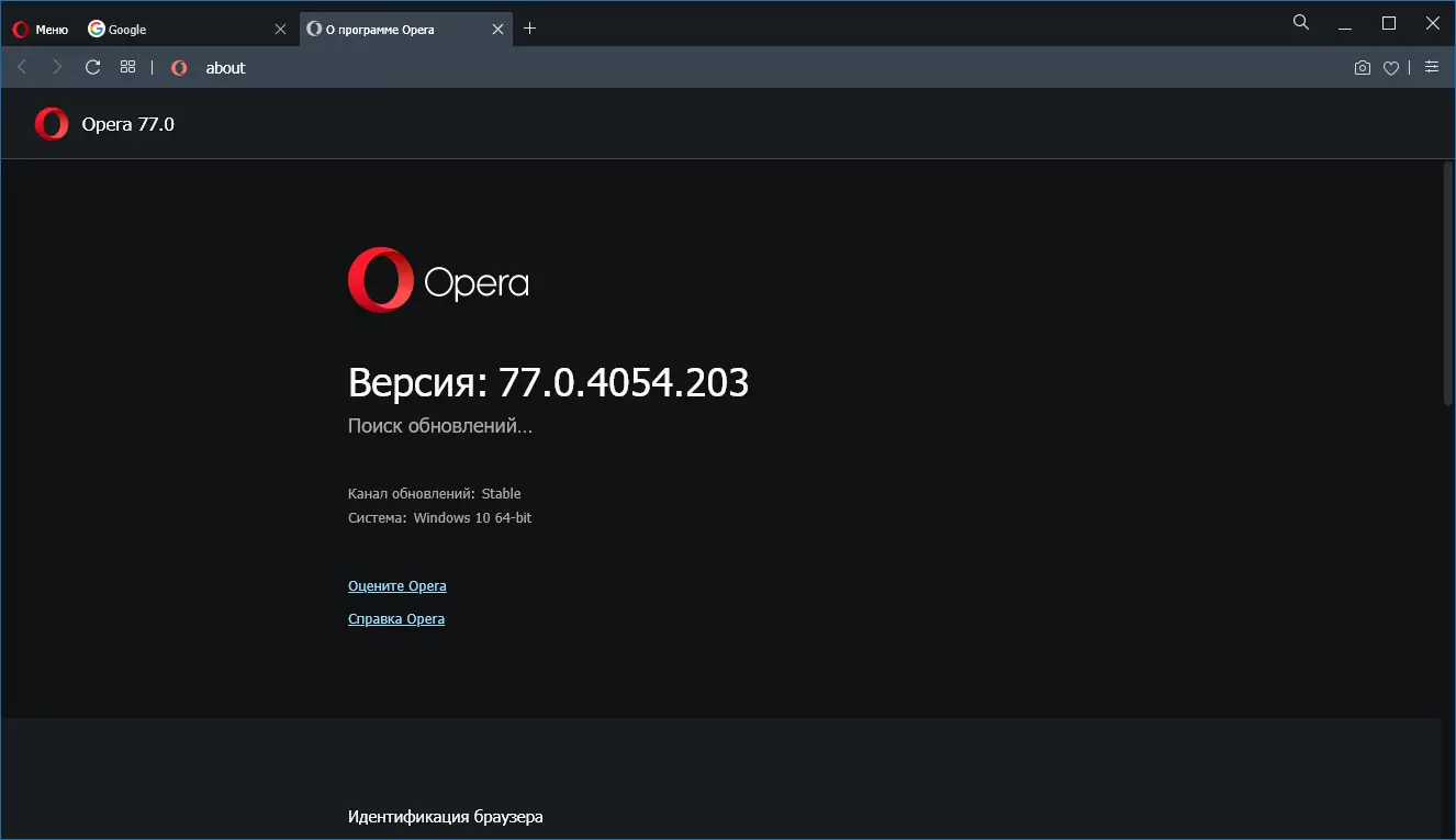 Программный интерфейс Opera 77.0.4054.203 Portable by JolyAnderson [Multi Ru]