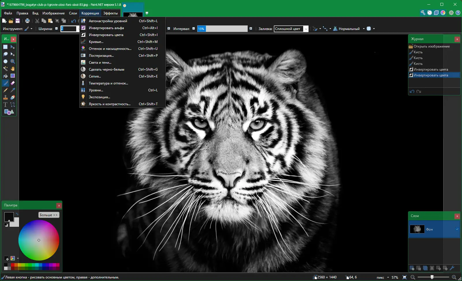 Программный интерфейс Paint.NET 5.1.8 Final + Portable [Multi Ru]