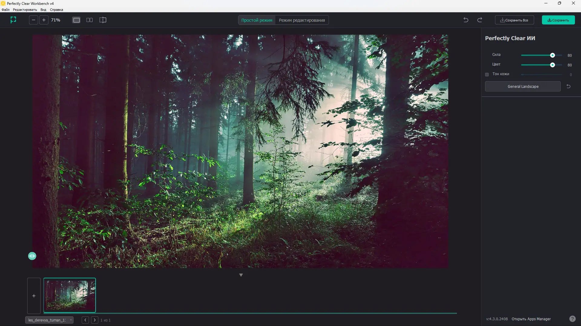 Программный интерфейс Perfectly Clear WorkBench 4.3.0.2408 RePack (& Portable) by elchupacabra [Multi Ru]