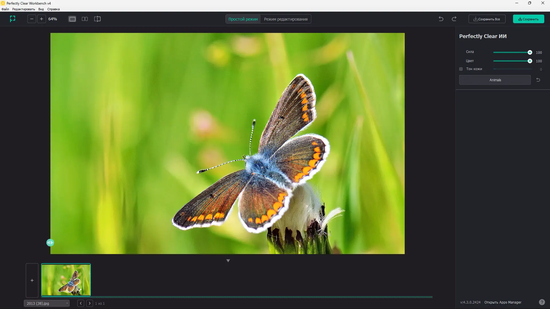 Программный интерфейс Perfectly Clear WorkBench 4.3.0.2424 RePack (& Portable) by elchupacabra [Multi Ru]