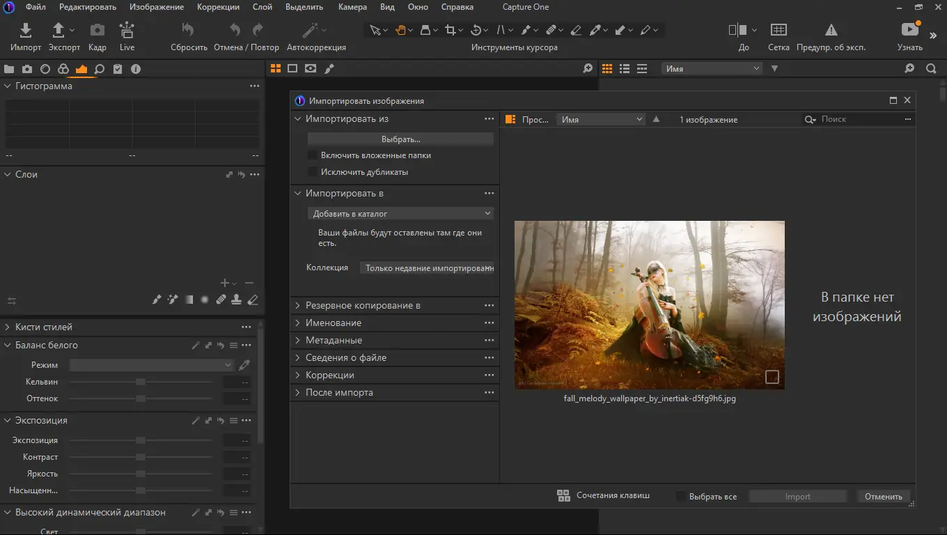 Программный интерфейс Phase One Capture One Pro 22 15.2.2.5 RePack by KpoJIuK [Multi Ru]