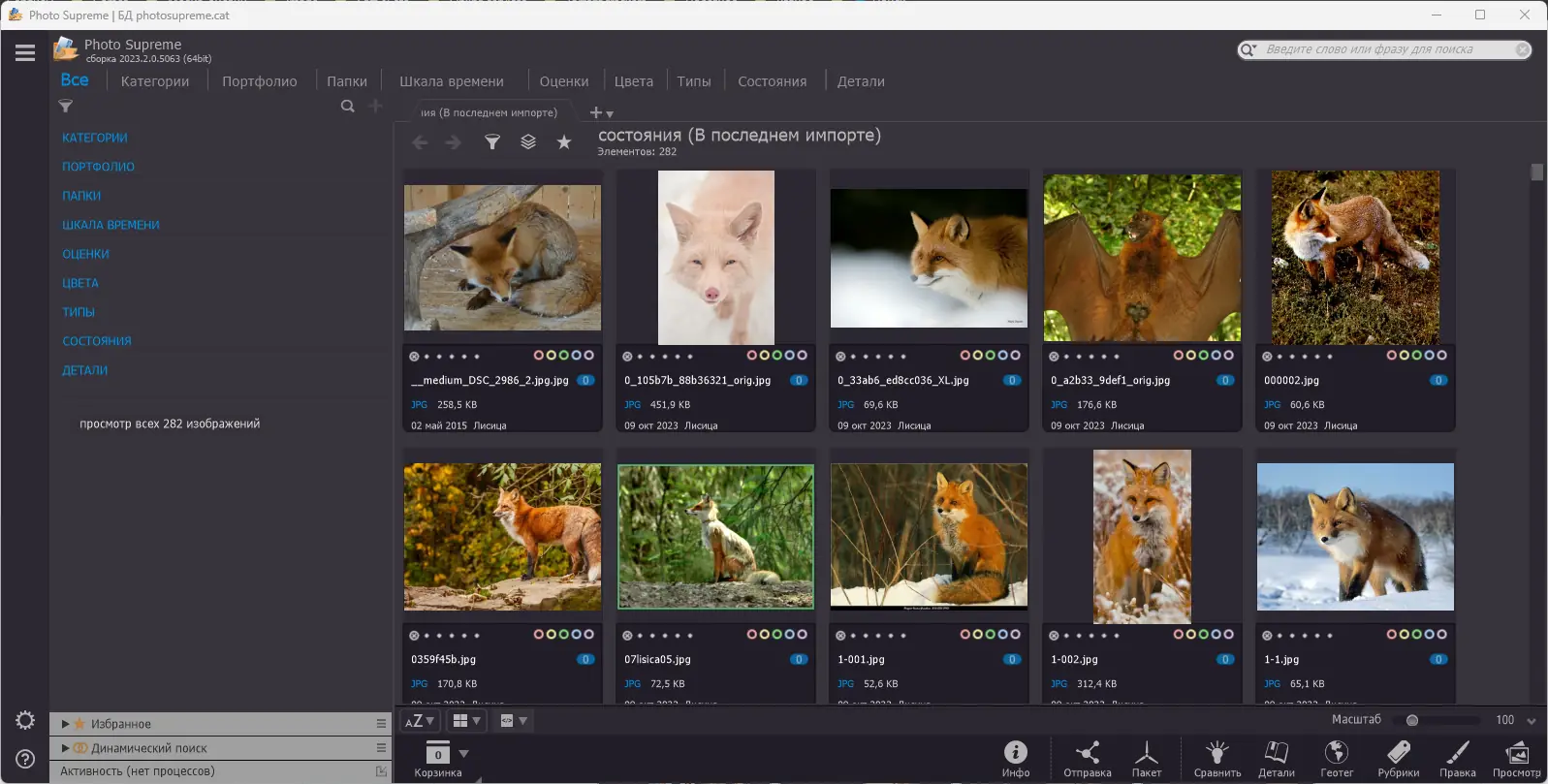 Программный интерфейс Photo Supreme 2023.2.0.5063 (x64) RePack (& Portable) by elchupacabra [Multi Ru]