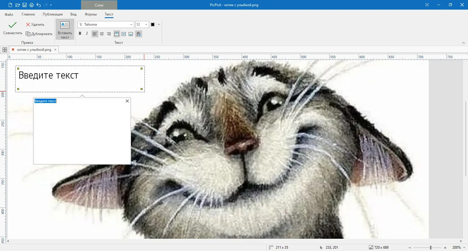 Программный интерфейс PicPick Free+Pro 7.2.6 + Portable [Multi Ru]