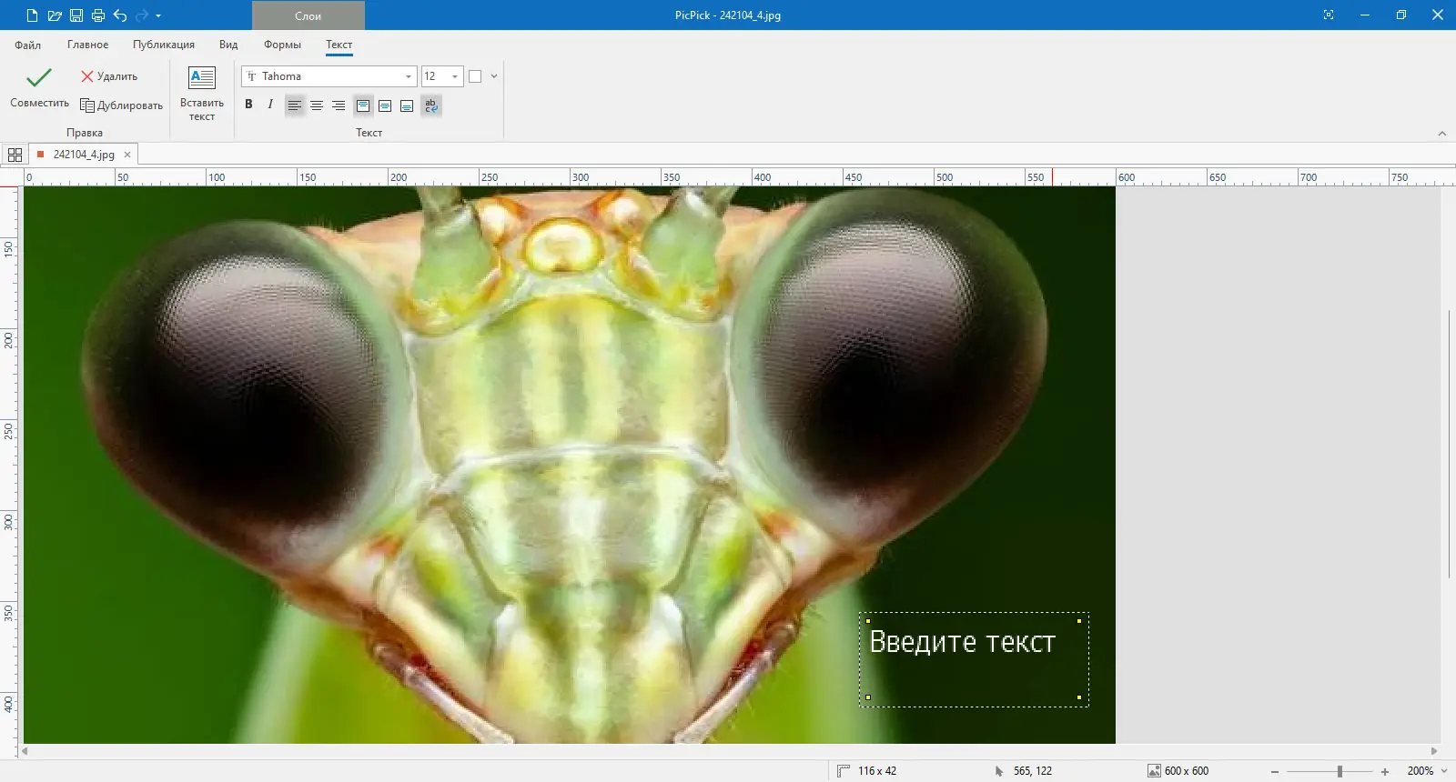 Программный интерфейс PicPick Free+Pro 7.2.7 + Portable [Multi Ru]