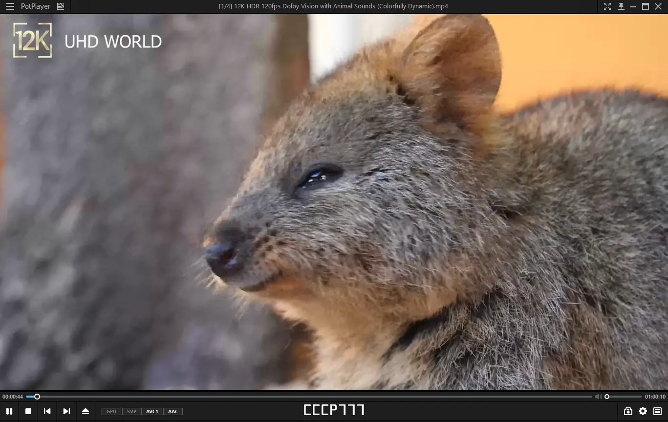 Программный интерфейс PotPlayer 230905 (1.7.21999) RePack (& portable) by elchupacabra [Multi Ru]