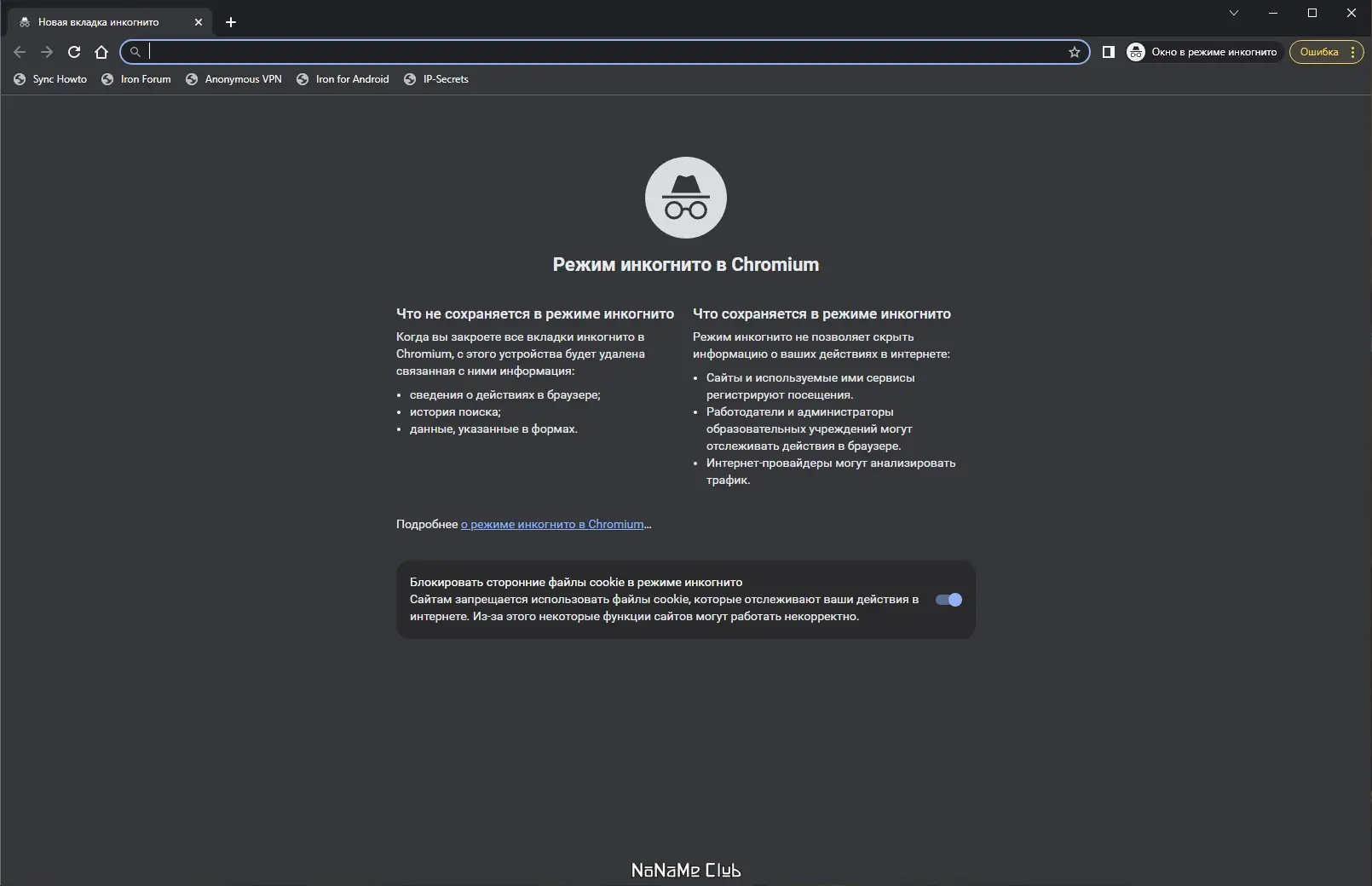 Программный интерфейс SRWare Iron 109.0.5550.0 + Portable [Multi Ru]