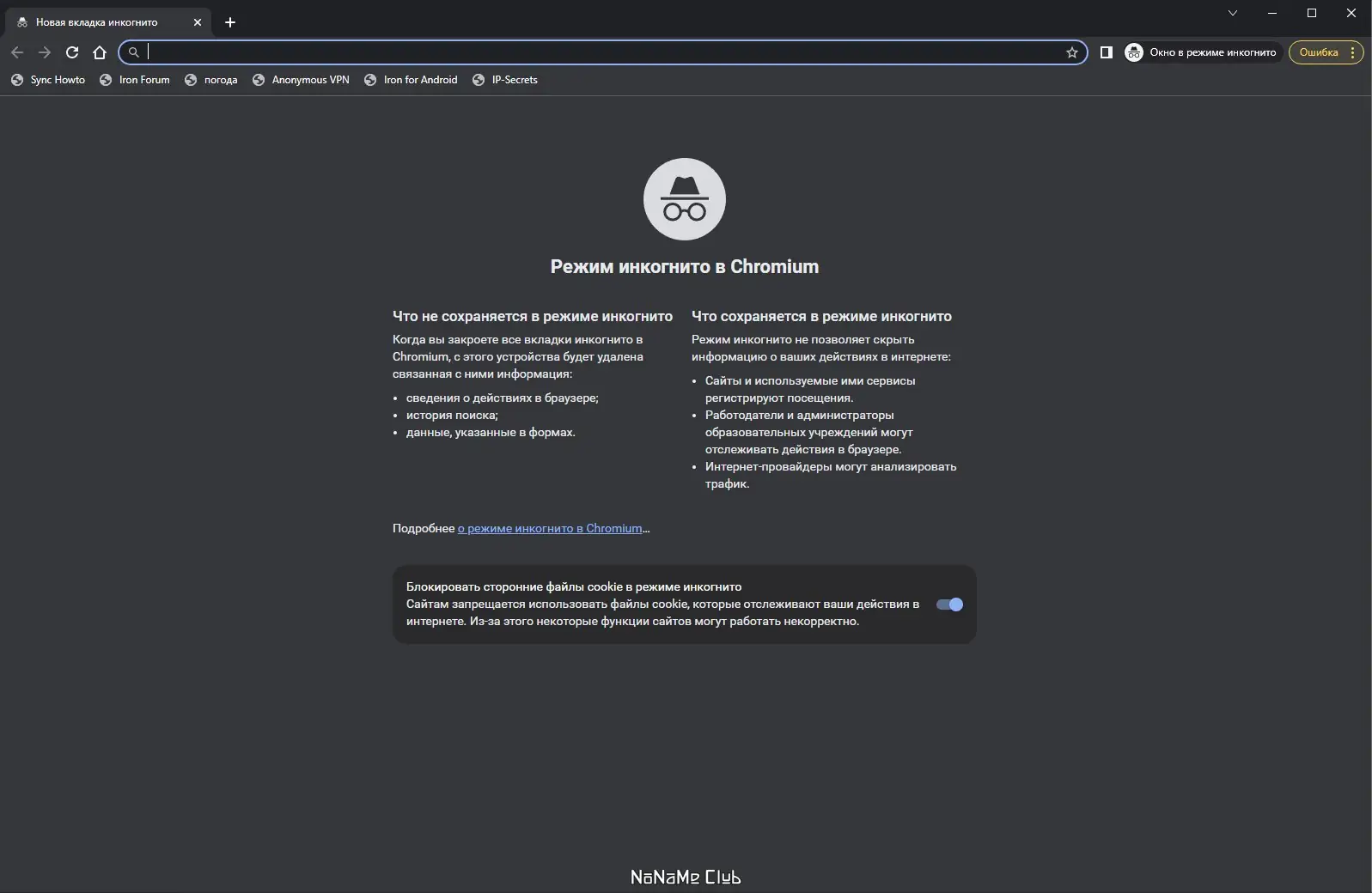 Программный интерфейс SRWare Iron 111.0.5650.0 + Portable [Multi Ru]