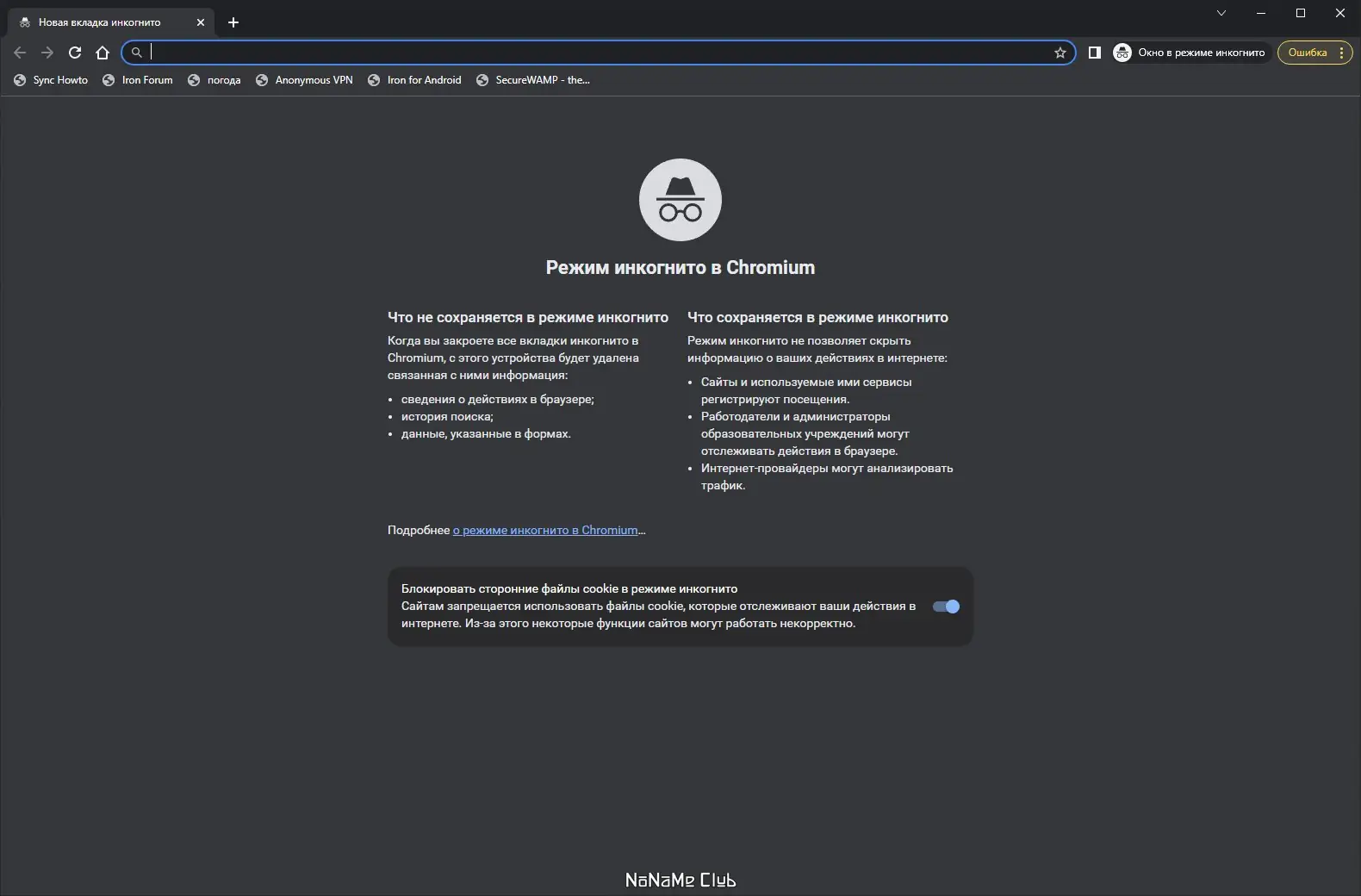 Программный интерфейс SRWare Iron 113.0.5750.0 + Portable [Multi Ru]