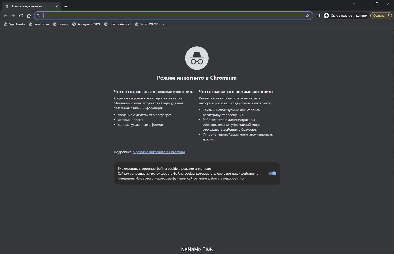 Программный интерфейс SRWare Iron 120.0.6100.0 + Portable [Multi Ru]