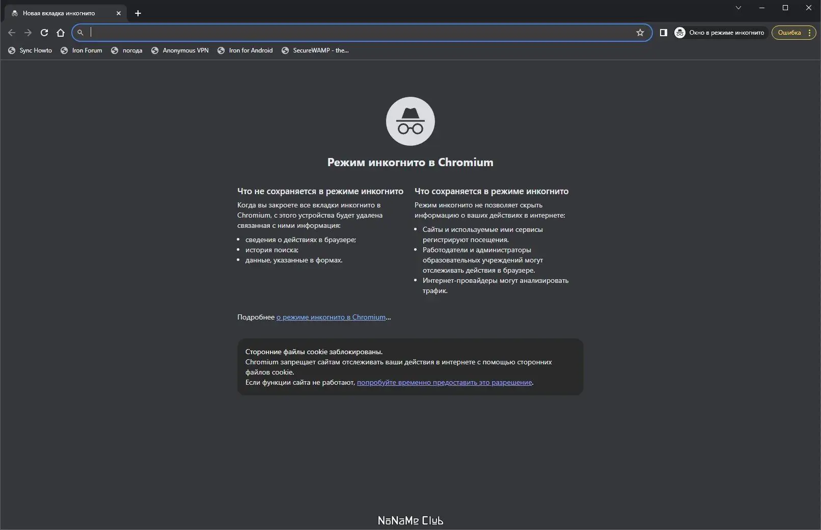 Программный интерфейс SRWare Iron 120.0.6200.0 + Portable [Multi Ru]