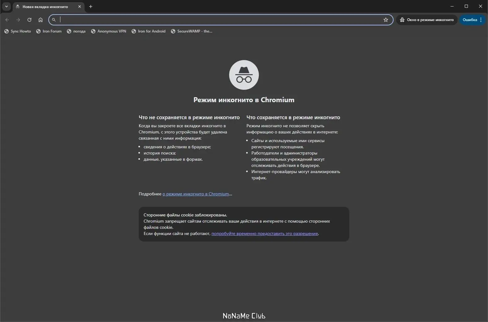 Программный интерфейс SRWare Iron 123.0.6250.0 + Portable [Multi Ru]