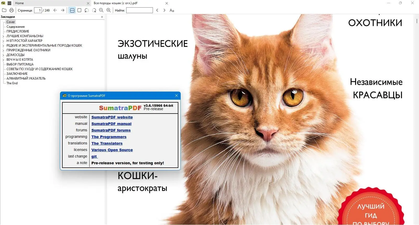 Программный интерфейс Sumatra PDF 3.6.15966 Prerelease + Portable [Multi Ru]