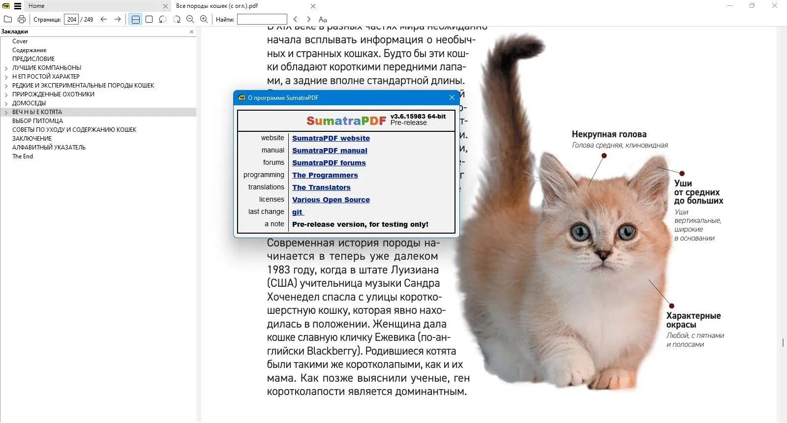 Программный интерфейс Sumatra PDF 3.6.15983 Prerelease + Portable [Multi Ru]