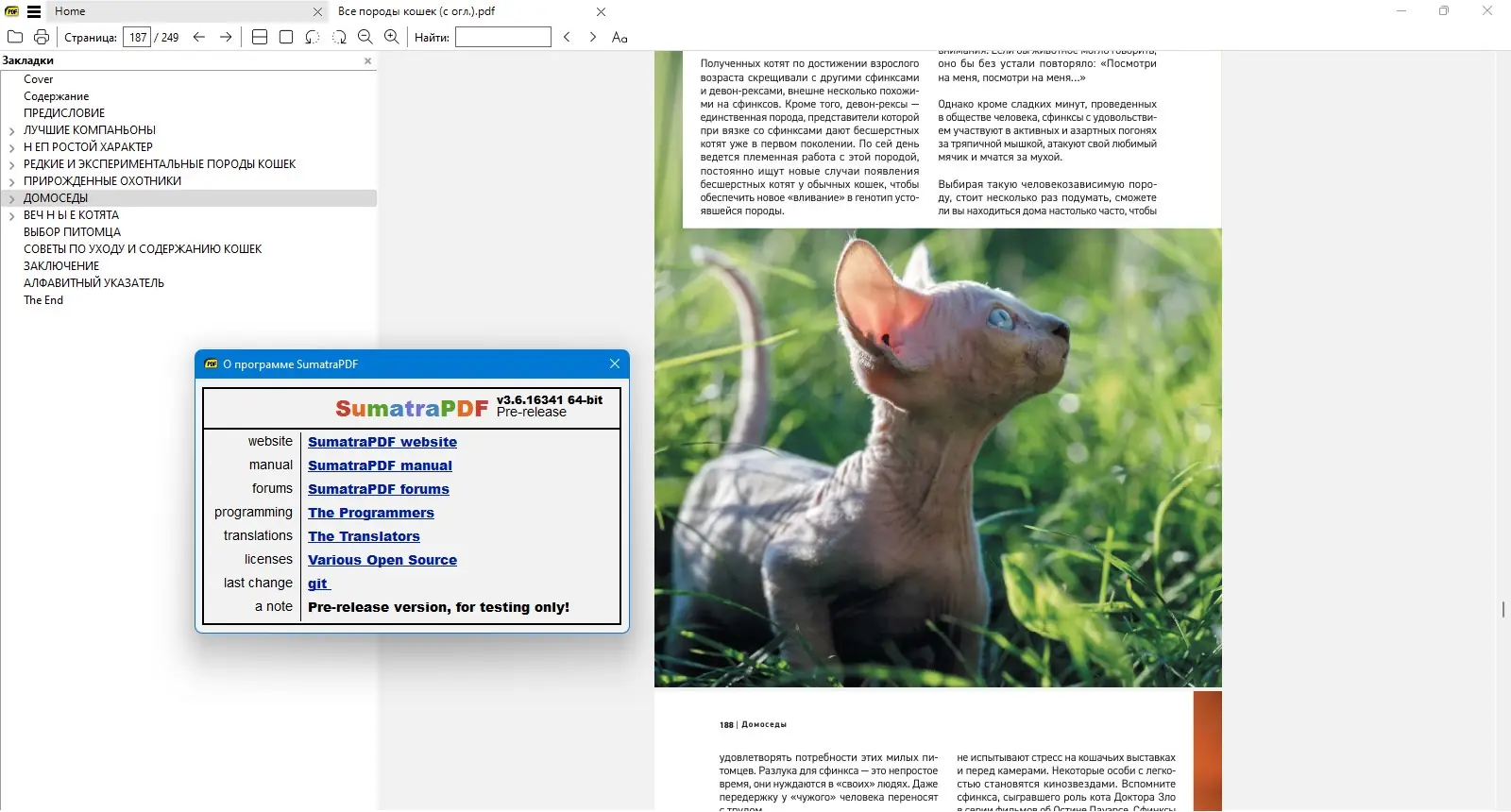 Программный интерфейс Sumatra PDF 3.6.16341 Prerelease + Portable [Multi Ru]