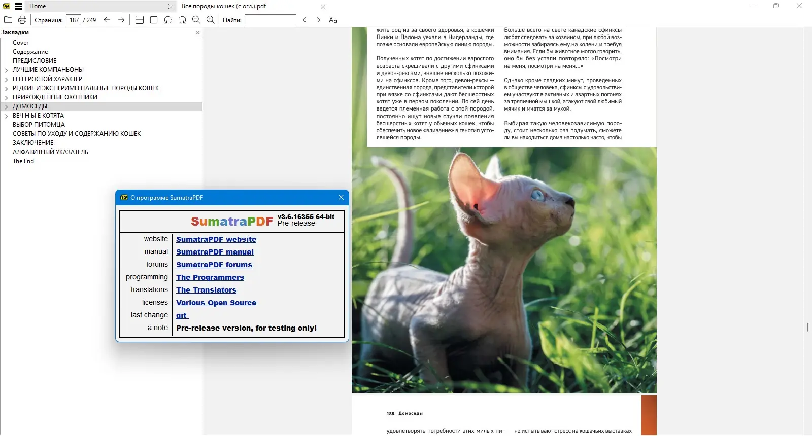 Программный интерфейс Sumatra PDF 3.6.16355 Prerelease + Portable [Multi Ru]