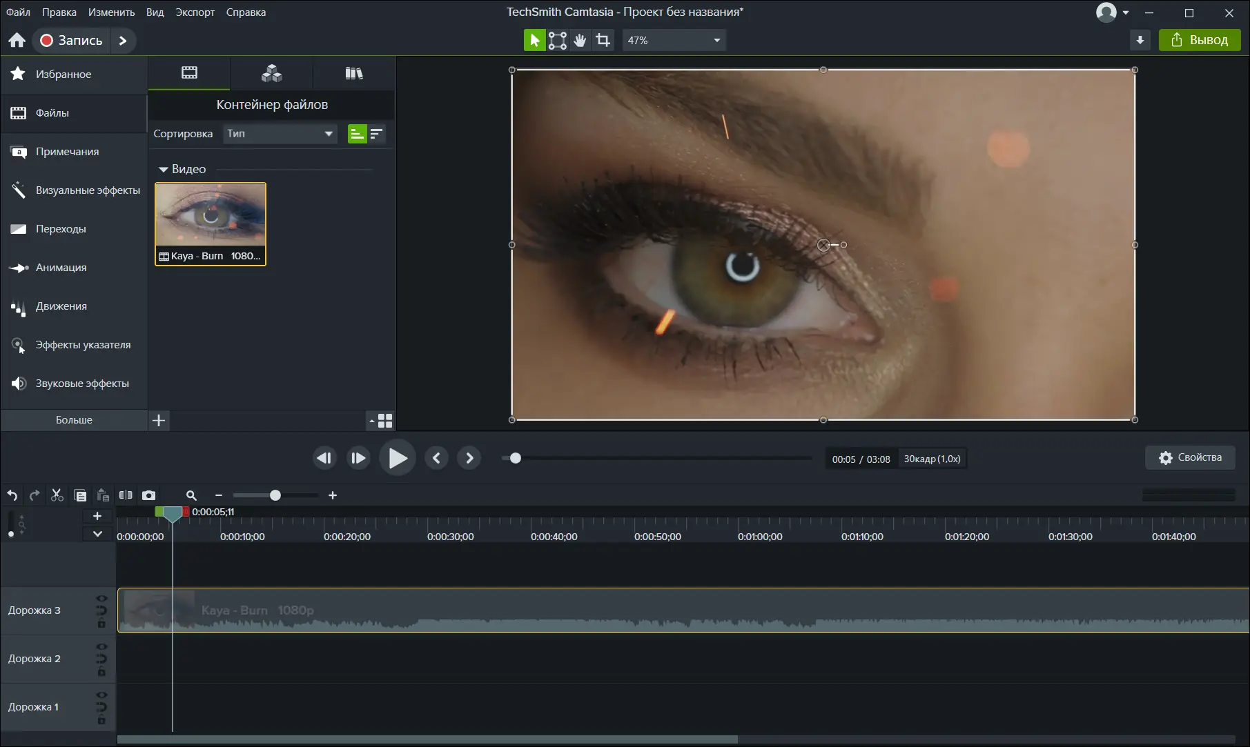 Программный интерфейс TechSmith Camtasia 24.1.3 Build 5321 RePack by elchupacabra [Multi Ru]