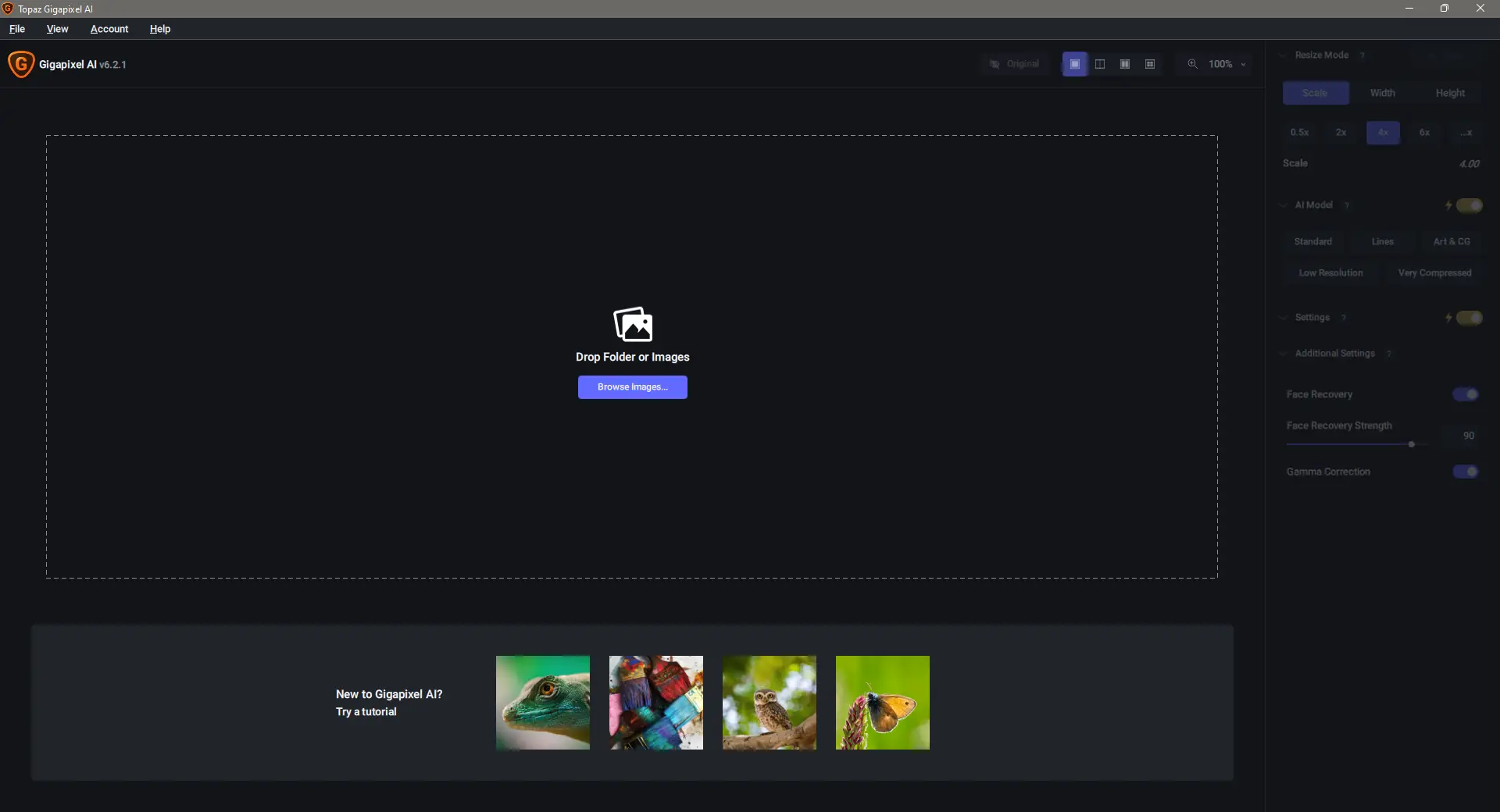 Программный интерфейс Topaz Gigapixel AI 6.2.1 RePack (& Portable) by TryRooM [En]