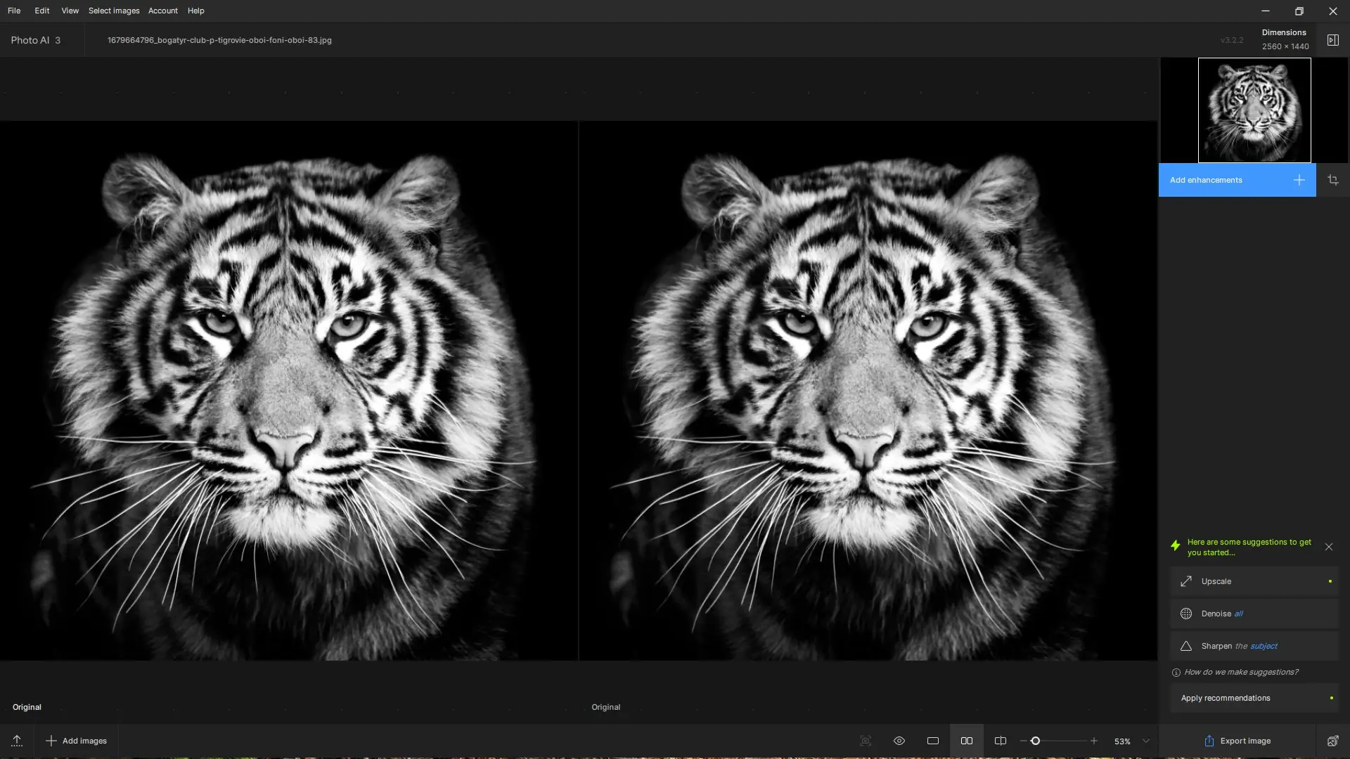 Программный интерфейс Topaz Photo AI 3.2.2 RePack by KpoJIuK [En]