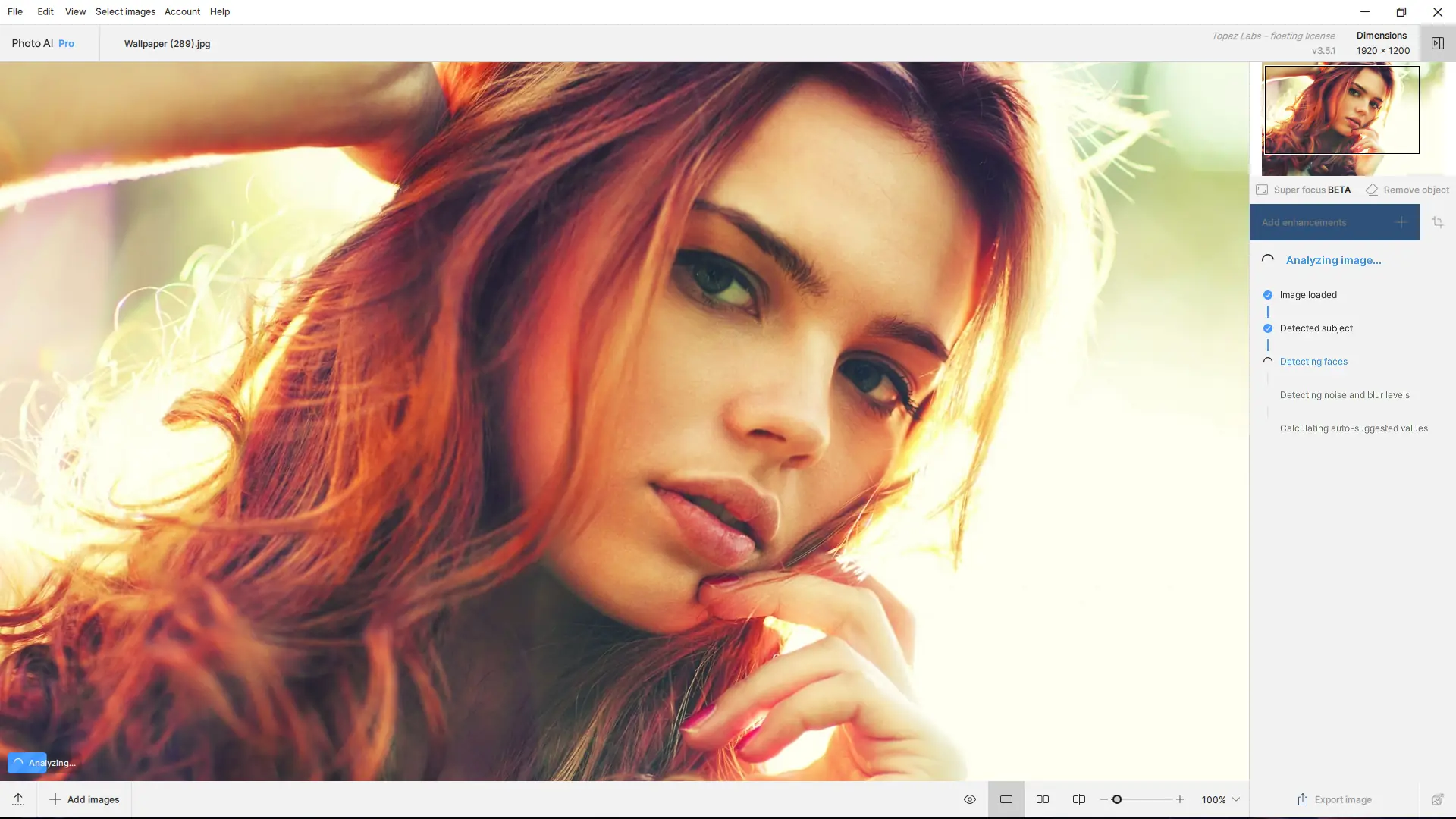 Программный интерфейс Topaz Photo AI Pro 3.5.1 (x64) RC [En]
