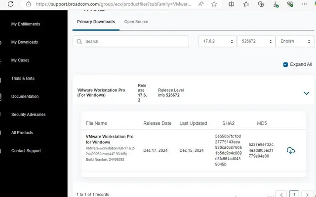 Программный интерфейс VMware Workstation Pro for Personal Use 17.6.2 Build 24409262 [En]