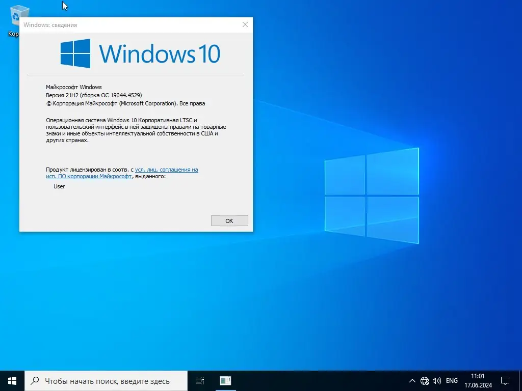 Программный интерфейс Windows 10 Enterprise LTSC 2021 21H2 19044.4529 (Updated June 2024) by FaTaL [Ru]