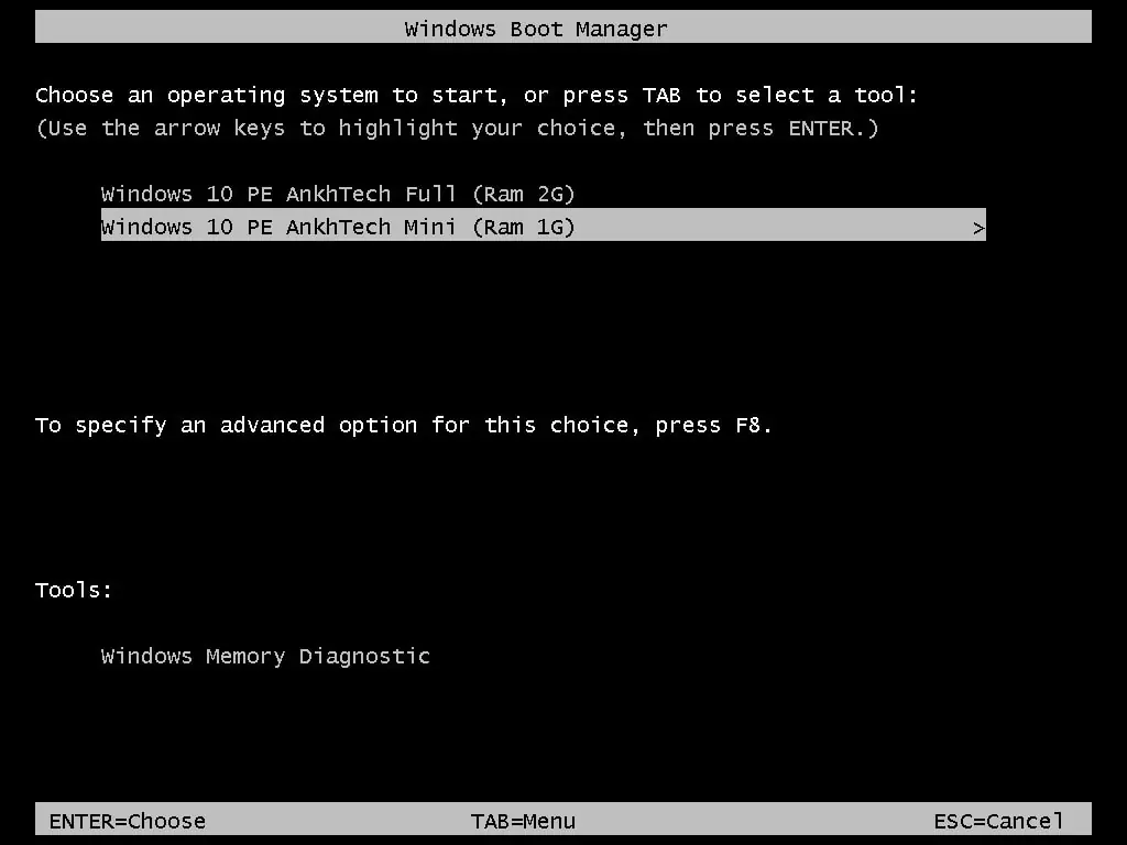Программный интерфейс Windows 10 PE x64 by AnkhTech V8 (24.03.2024) [En]