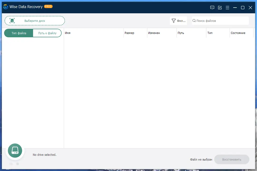 Программный интерфейс Wise Data Recovery Pro 6.1.3.495 Portable by FC Portables [Multi Ru]