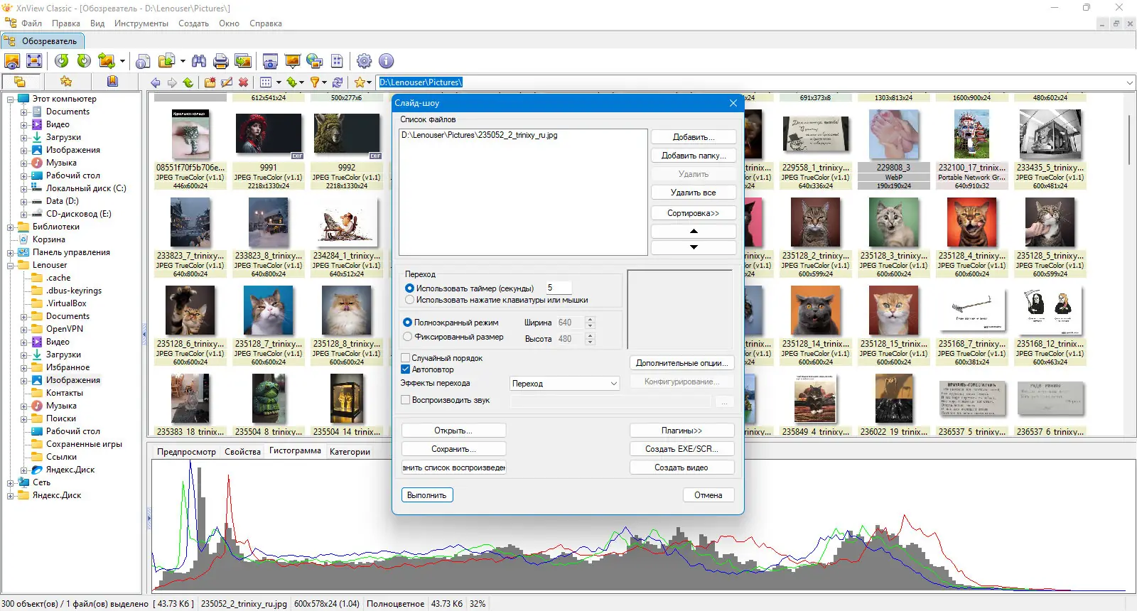 Программный интерфейс XnView Classic 2.51.3 (Minimal-Standard-Extended) + Portable [Multi Ru]
