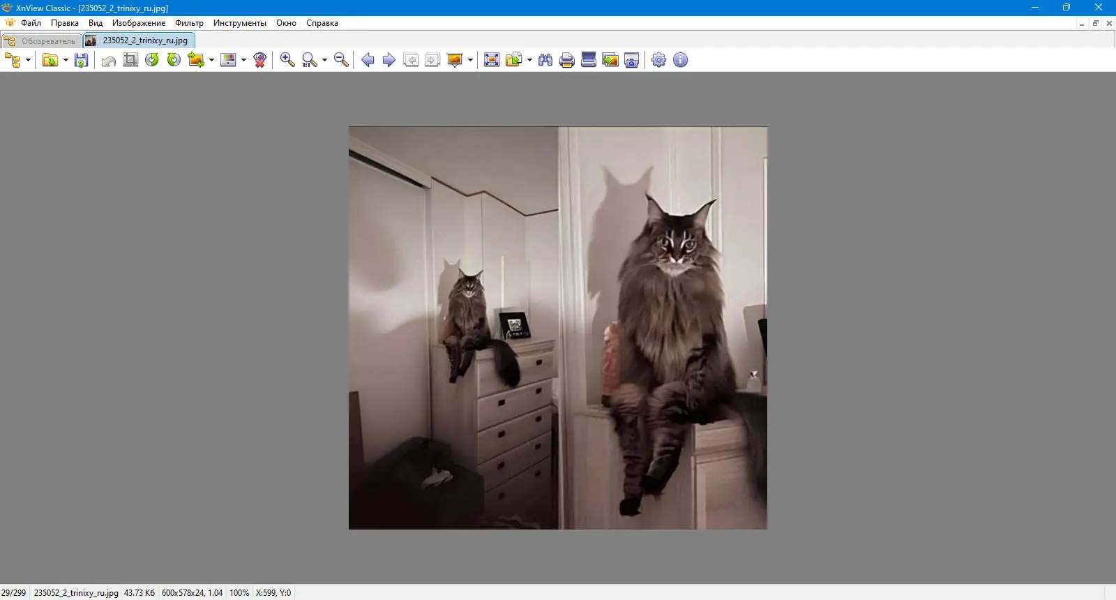 Программный интерфейс XnView Classic 2.51.4 (Minimal-Standard-Extended) + Portable [Multi Ru]