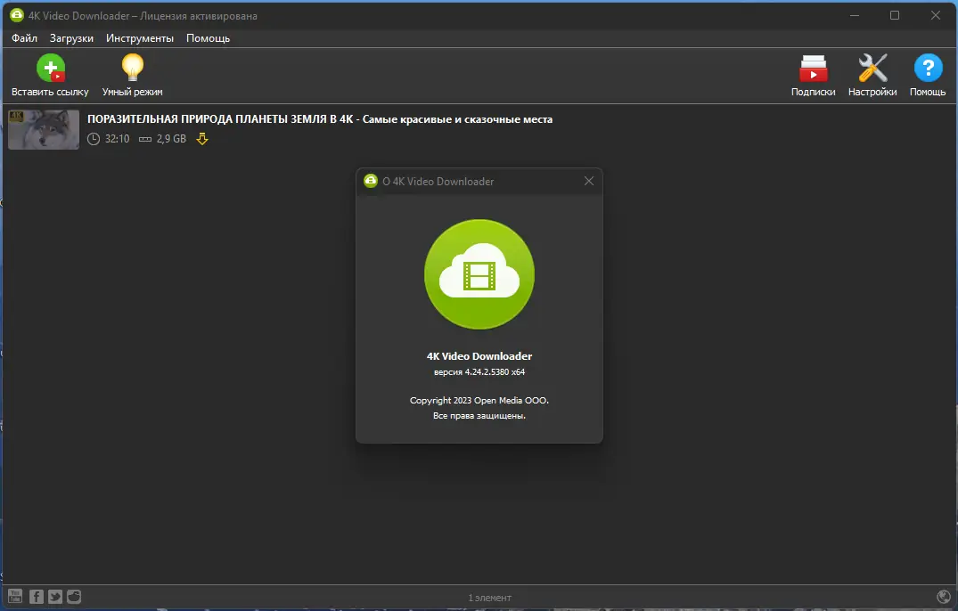 Установка 4K Video Downloader 4.24.2.5380 RePack (& Portable) by TryRooM [Multi Ru]