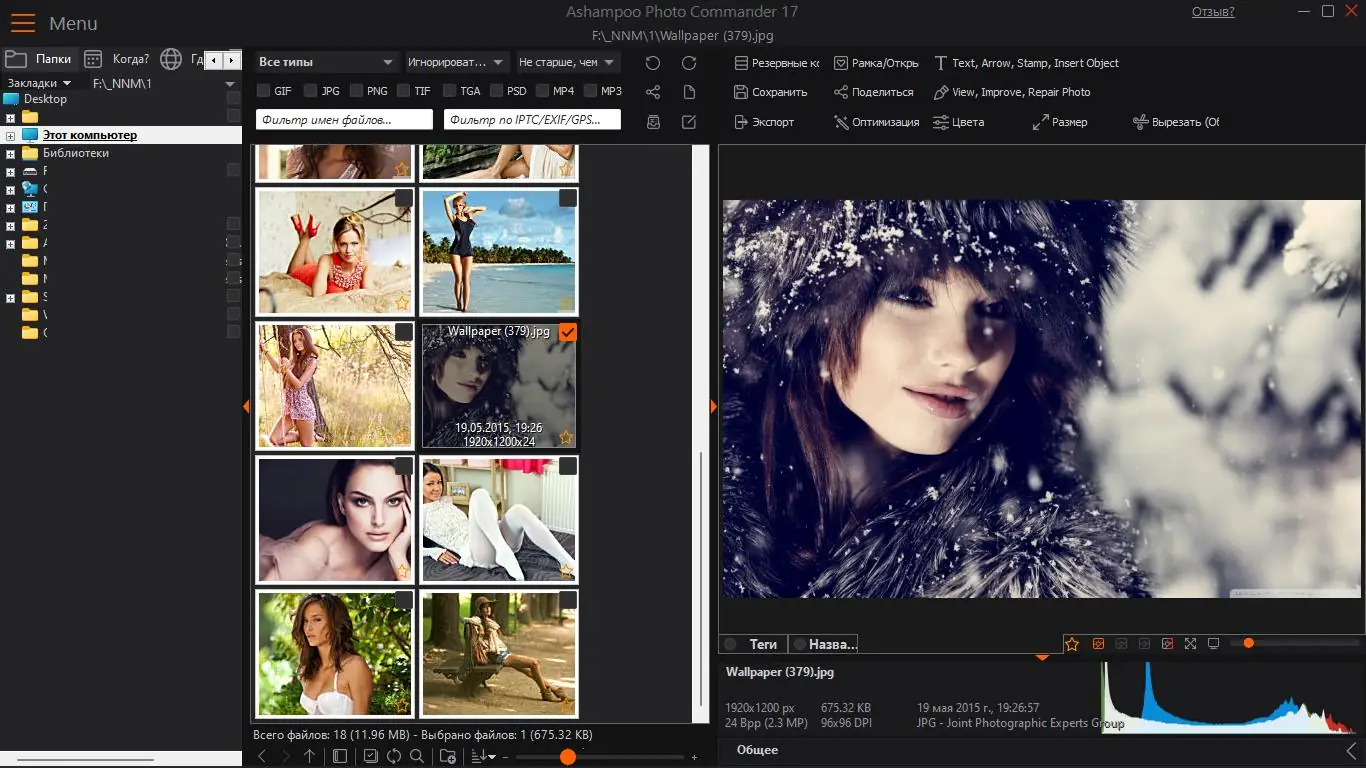 Установка Ashampoo Photo Commander 17.0.0 (2022) PC RePack & Portable by TryRooM
