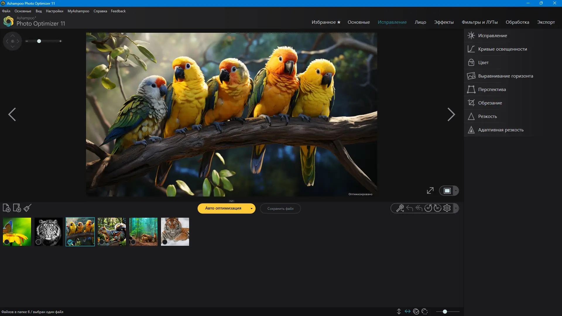 Установка Ashampoo Photo Optimizer 11.0.0.10 RePack (& Portable) by elchupacabra [Multi Ru]
