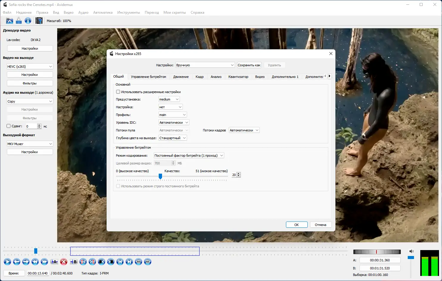 Установка Avidemux 2.8.1 Nightly(r220720) + Portable (x64) [Multi Ru]