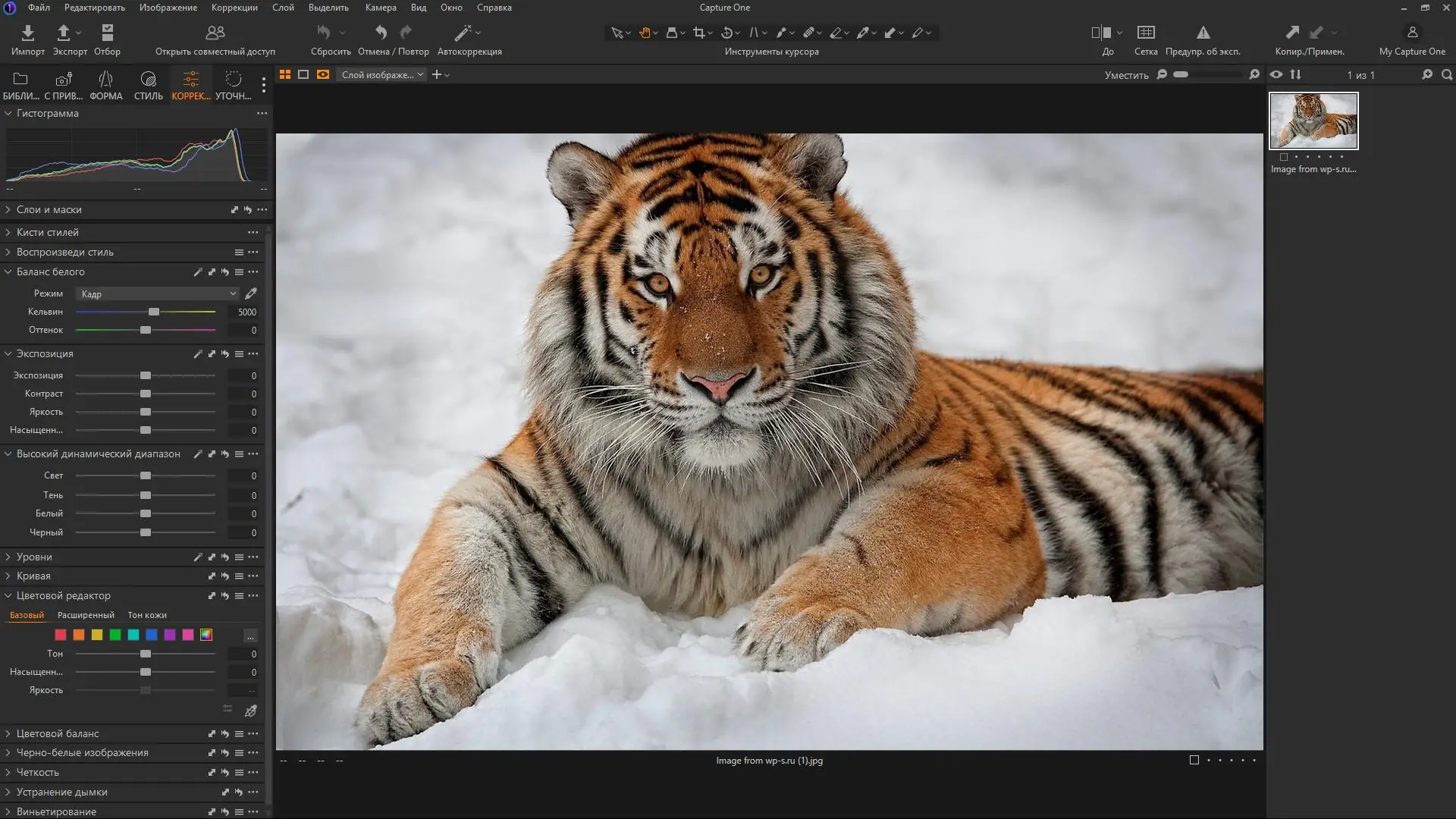 Установка Capture One 23 Enterprise 16.5.8.2763 RePack by KpoJIuK [Multi Ru]