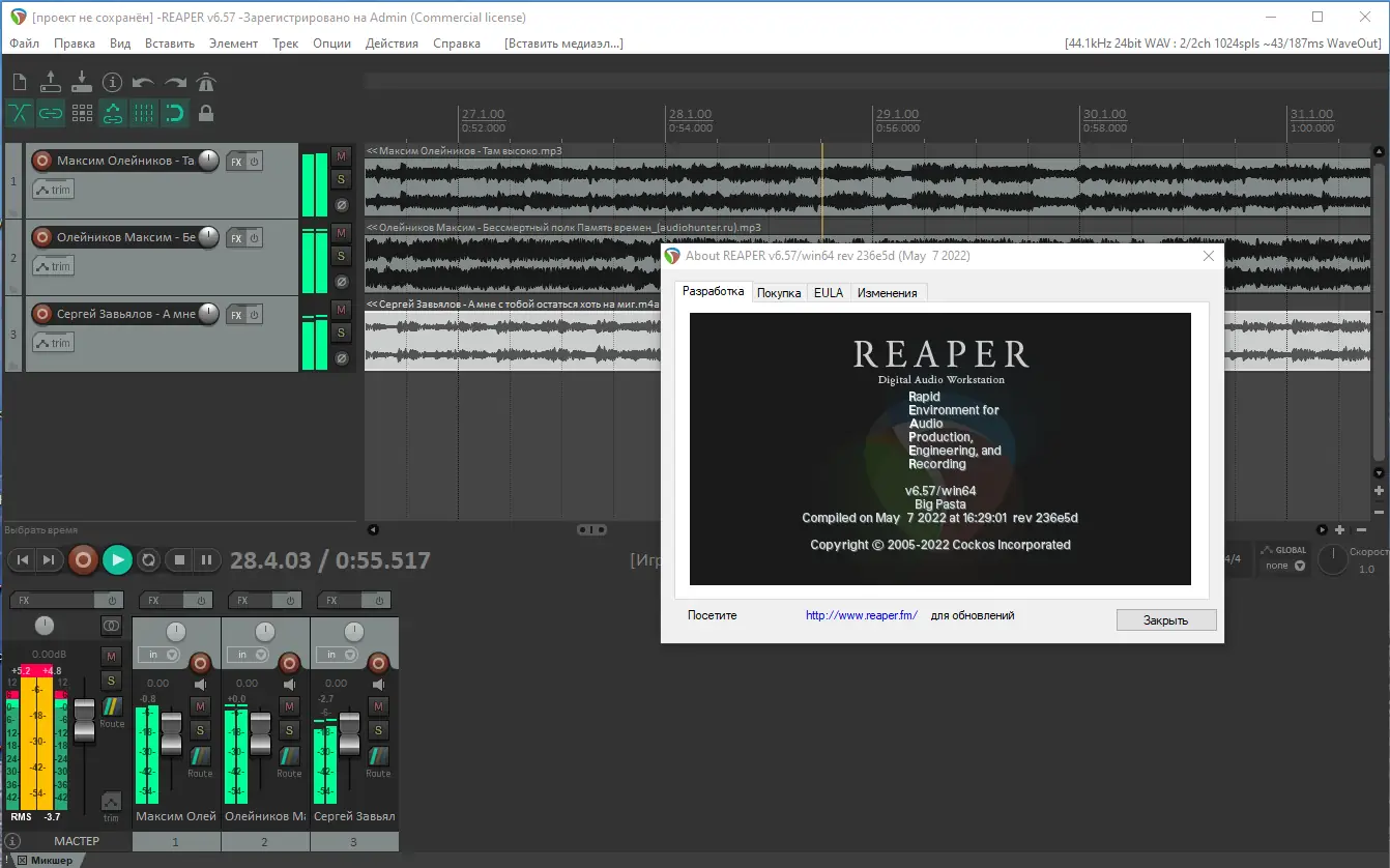 Установка Cockos REAPER 6.57 RePack (& Portable) by TryRooM [Ru En]